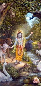 calf krishna wallpaper