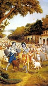 krishna balaram wallpaper 1