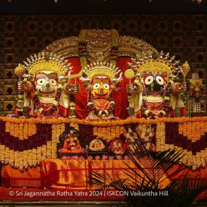 ratha yatra vkh 5